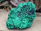 Natural Large Silky Malachite Specimen x 1 From Kasompe, Congo - Toprock Gemstones and Minerals 