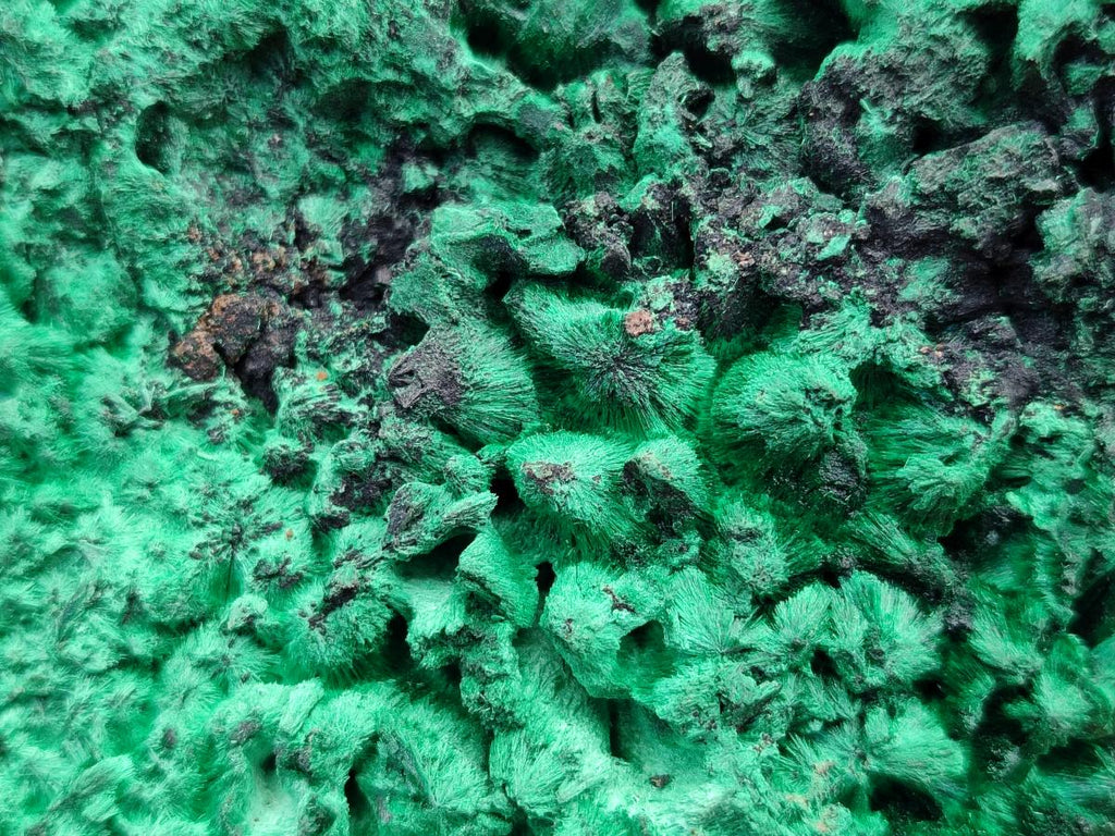 Natural Large Silky Malachite Specimen x 1 From Kasompe, Congo - Toprock Gemstones and Minerals 