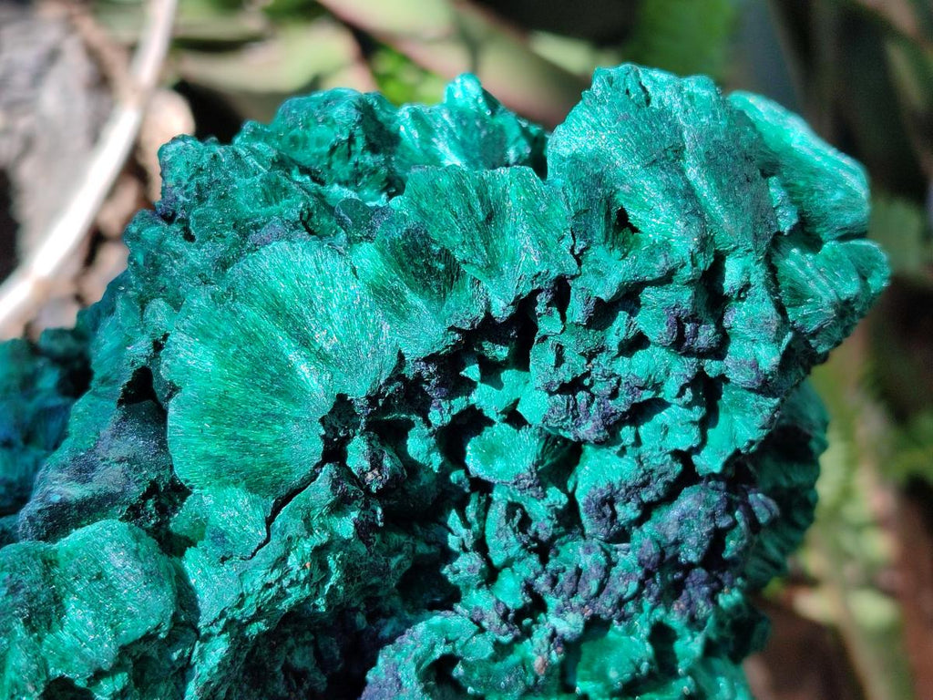 Natural Large Silky Malachite Specimen x 1 From Kasompe, Congo - Toprock Gemstones and Minerals 