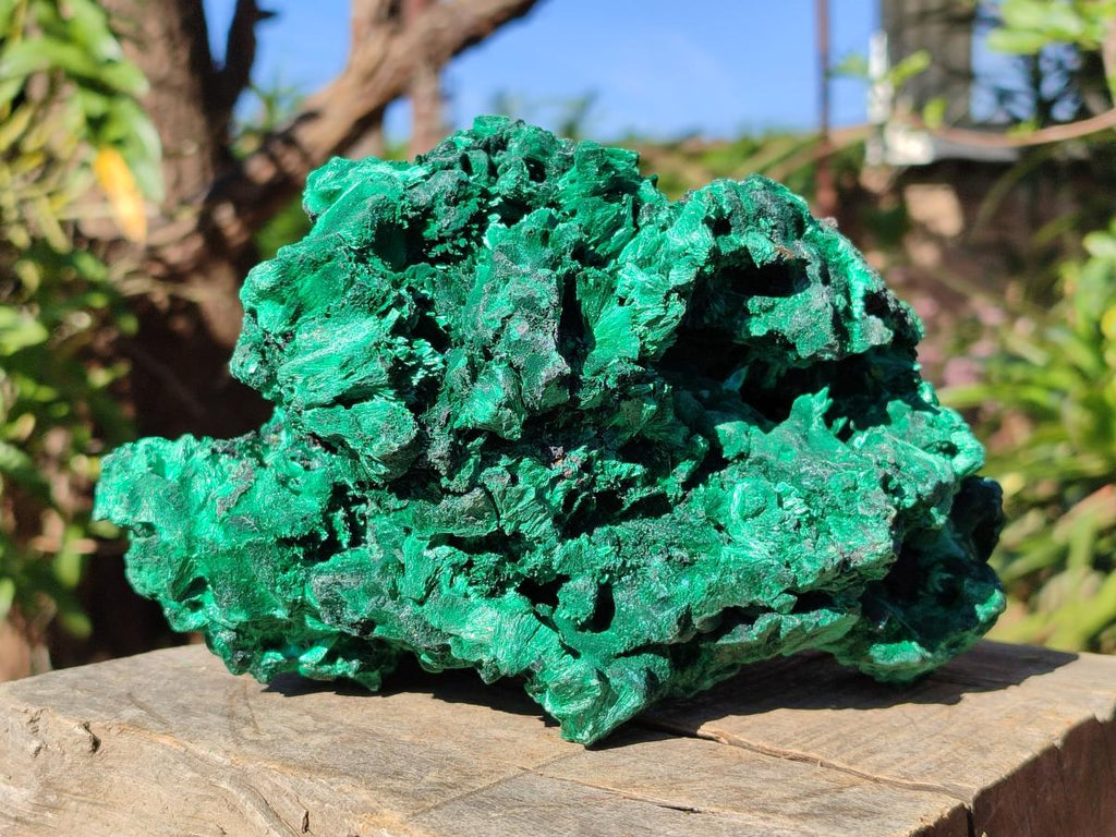 Natural Large Silky Malachite Specimen x 1 From Kasompe, Congo - Toprock Gemstones and Minerals 