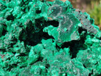 Natural Large Silky Malachite Specimen x 1 From Kasompe, Congo - Toprock Gemstones and Minerals 