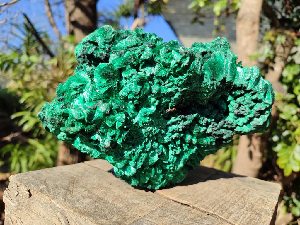 Natural Large Silky Malachite Specimen x 1 From Kasompe, Congo - Toprock Gemstones and Minerals 