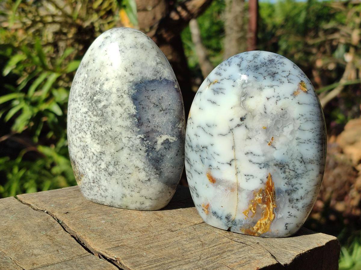 Polished Fluorescent Dendritic White Opal Standing Display Pieces x 3 From Moralambo, Madagascar - Toprock Gemstones and Minerals 