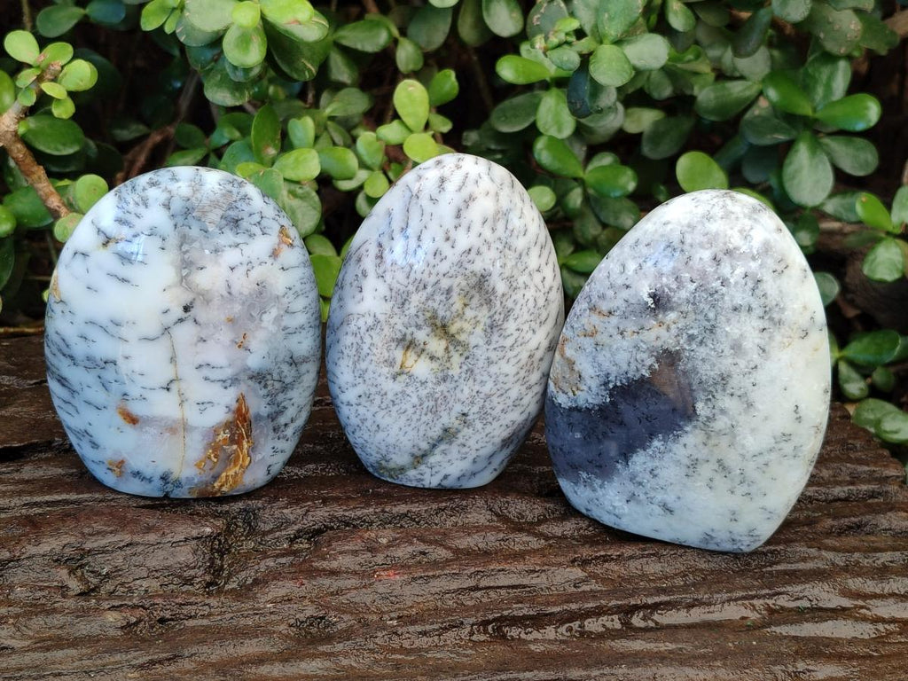 Polished Fluorescent Dendritic White Opal Standing Display Pieces x 3 From Moralambo, Madagascar - Toprock Gemstones and Minerals 