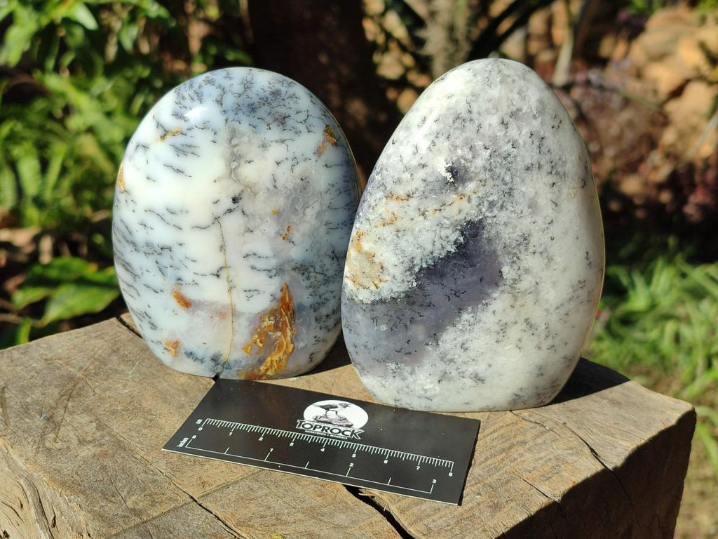 Polished Fluorescent Dendritic White Opal Standing Display Pieces x 3 From Moralambo, Madagascar - Toprock Gemstones and Minerals 