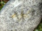 Polished Fluorescent Dendritic White Opal Standing Display Pieces x 3 From Moralambo, Madagascar - Toprock Gemstones and Minerals 
