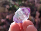 Natural Window Amethyst Crystals x 35 From Chiredzi, Zimbabwe - Toprock Gemstones and Minerals 