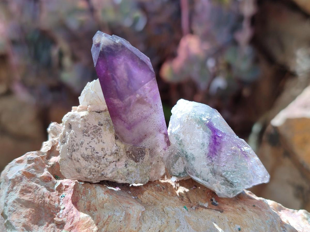 Natural Window Amethyst Crystals x 35 From Chiredzi, Zimbabwe - Toprock Gemstones and Minerals 