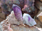 Natural Window Amethyst Crystals x 35 From Chiredzi, Zimbabwe - Toprock Gemstones and Minerals 