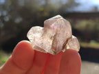 Natural Window Amethyst Crystals x 35 From Chiredzi, Zimbabwe - Toprock Gemstones and Minerals 