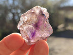 Natural Window Amethyst Crystals x 35 From Chiredzi, Zimbabwe - Toprock Gemstones and Minerals 