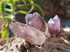 Natural Window Amethyst Crystals x 35 From Chiredzi, Zimbabwe - Toprock Gemstones and Minerals 
