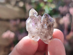 Natural Window Amethyst Crystals x 35 From Chiredzi, Zimbabwe - Toprock Gemstones and Minerals 