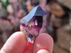 Natural Window Amethyst Crystals x 35 From Chiredzi, Zimbabwe - Toprock Gemstones and Minerals 