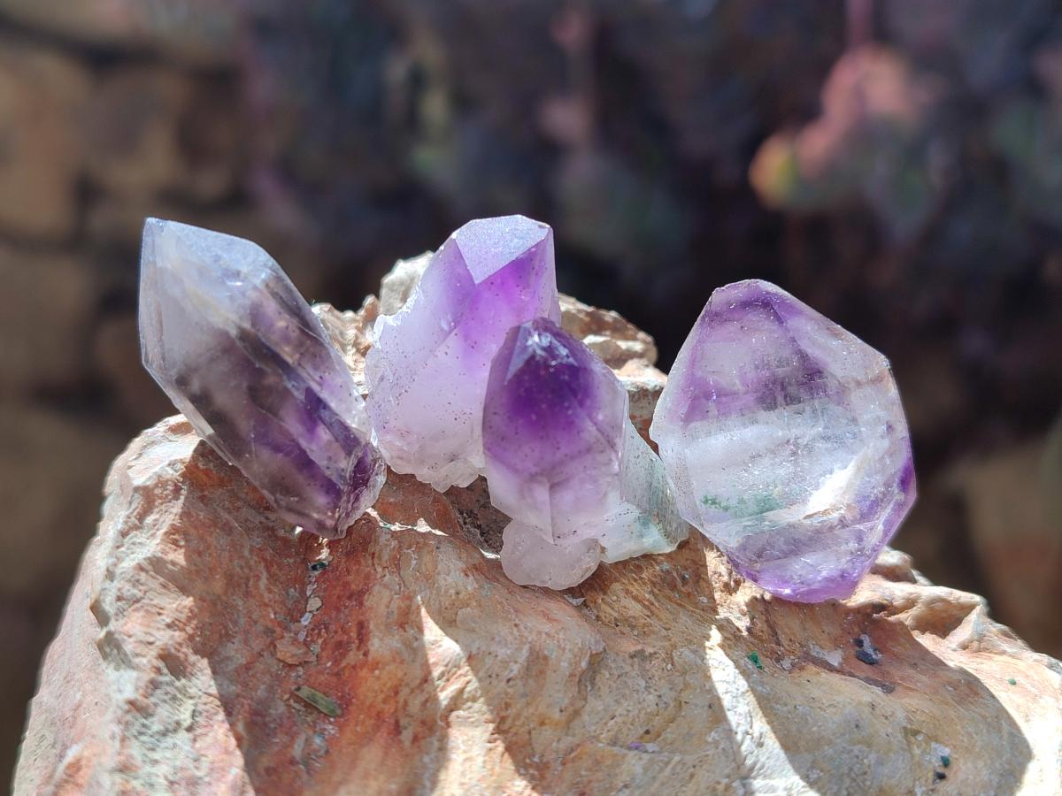 Natural Window Amethyst Crystals x 35 From Chiredzi, Zimbabwe - Toprock Gemstones and Minerals 
