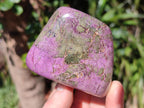 Polished Stichtite Free Forms x 4 From Barberton, South Africa - Toprock Gemstones and Minerals 