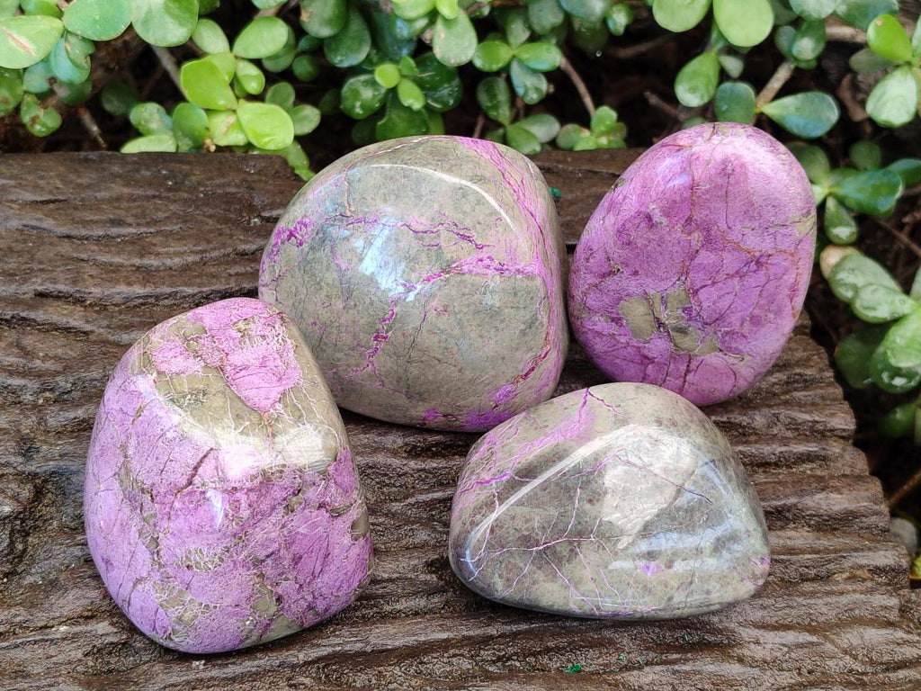 Polished Stichtite Free Forms x 4 From Barberton, South Africa - Toprock Gemstones and Minerals 