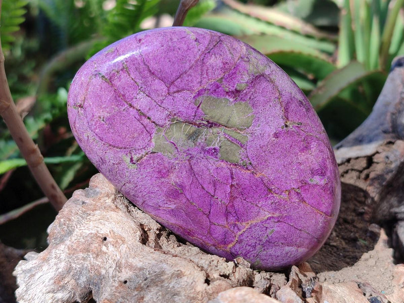 Polished Stichtite Free Forms x 4 From Barberton, South Africa - Toprock Gemstones and Minerals 