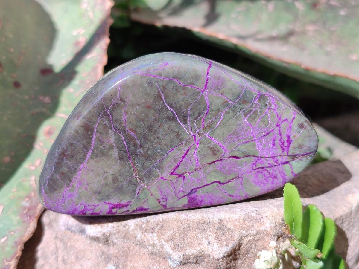 Polished Stichtite Free Forms x 4 From Barberton, South Africa - Toprock Gemstones and Minerals 
