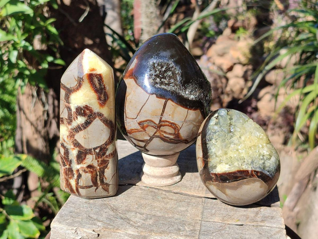 Polished and Natural Septerye Mix Set x 3 From Mahajanga, Madagascar - Toprock Gemstones and Minerals 