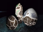 Polished and Natural Septerye Mix Set x 3 From Mahajanga, Madagascar - Toprock Gemstones and Minerals 