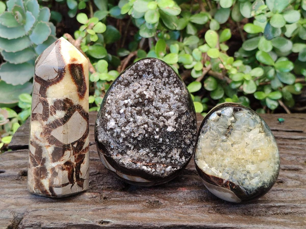 Polished and Natural Septerye Mix Set x 3 From Mahajanga, Madagascar - Toprock Gemstones and Minerals 