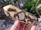 Polished and Natural Septerye Mix Set x 3 From Mahajanga, Madagascar - Toprock Gemstones and Minerals 