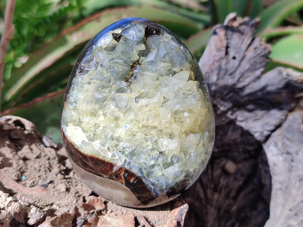 Polished and Natural Septerye Mix Set x 3 From Mahajanga, Madagascar - Toprock Gemstones and Minerals 