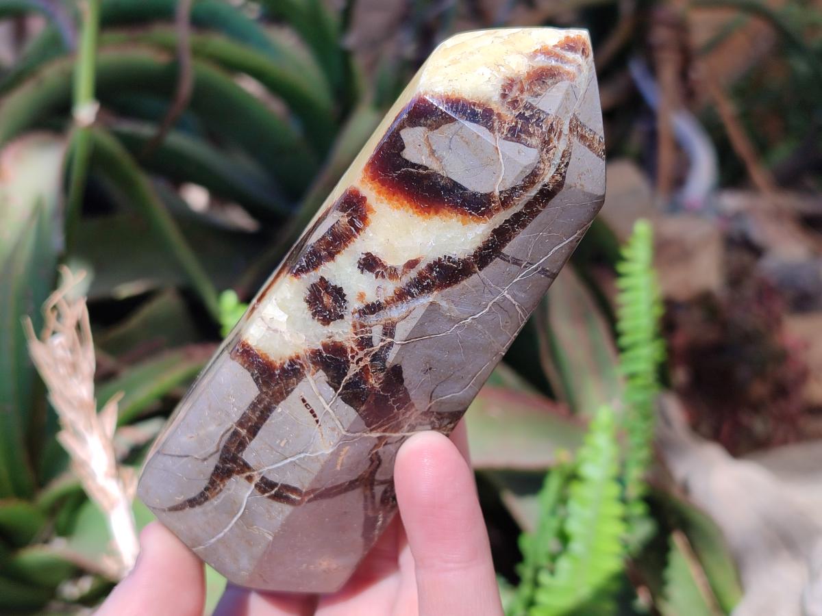 Polished and Natural Septerye Mix Set x 3 From Mahajanga, Madagascar - Toprock Gemstones and Minerals 