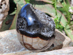 Polished and Natural Septerye Mix Set x 3 From Mahajanga, Madagascar - Toprock Gemstones and Minerals 