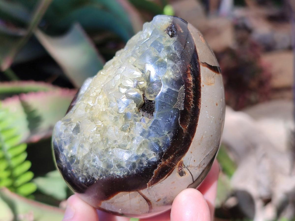 Polished and Natural Septerye Mix Set x 3 From Mahajanga, Madagascar - Toprock Gemstones and Minerals 