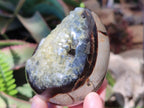 Polished and Natural Septerye Mix Set x 3 From Mahajanga, Madagascar - Toprock Gemstones and Minerals 