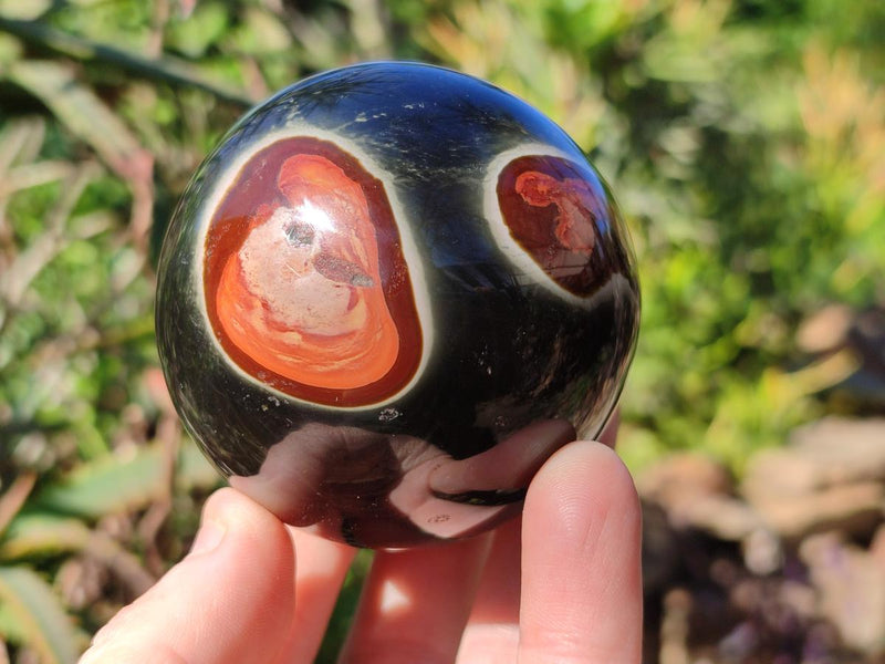 Polished Polychrome Jasper Spheres x 6 From Androka, Madagascar - Toprock Gemstones and Minerals 