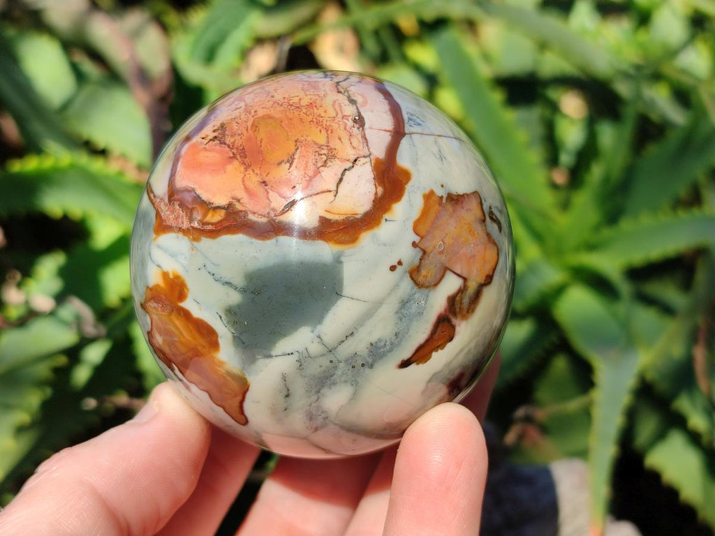 Polished Polychrome Jasper Spheres x 6 From Androka, Madagascar - Toprock Gemstones and Minerals 