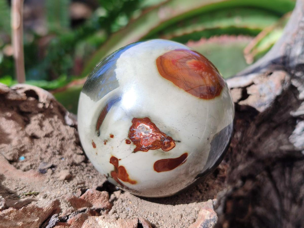 Polished Polychrome Jasper Spheres x 6 From Androka, Madagascar - Toprock Gemstones and Minerals 