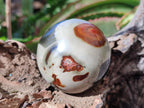 Polished Polychrome Jasper Spheres x 6 From Androka, Madagascar - Toprock Gemstones and Minerals 