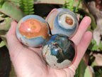 Polished Polychrome Jasper Spheres x 6 From Androka, Madagascar - Toprock Gemstones and Minerals 