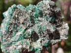 Natural Emerald Mica 'Mutokolite' Cobbed Specimens x 5 From Mutoko, Zimbabwe - Toprock Gemstones and Minerals 