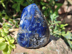Polished Dumortierite Standing Display Pieces x 7 From Madagascar - Toprock Gemstones and Minerals 