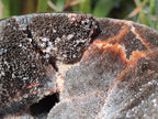 Polished and Natural Large Septerye Sauvage "Dragons Egg" Geode x 1 From Mahajanga, Madagascar - Toprock Gemstones and Minerals 