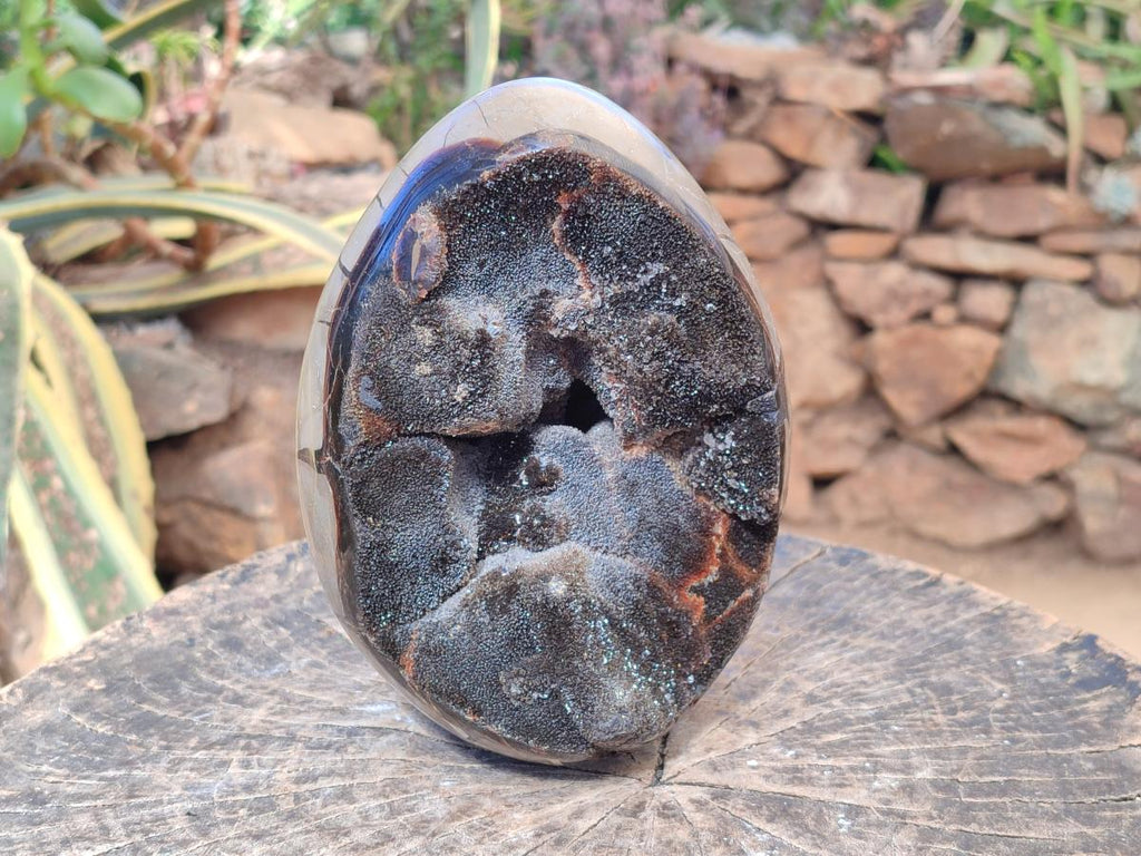 Polished and Natural Large Septerye Sauvage "Dragons Egg" Geode x 1 From Mahajanga, Madagascar - Toprock Gemstones and Minerals 