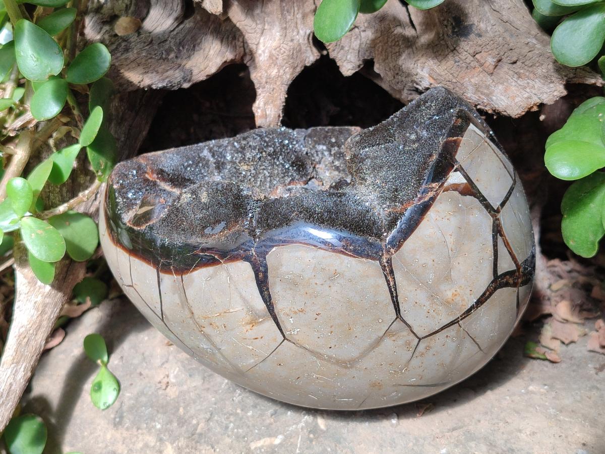 Polished and Natural Large Septerye Sauvage "Dragons Egg" Geode x 1 From Mahajanga, Madagascar - Toprock Gemstones and Minerals 