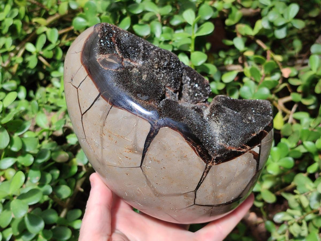 Polished and Natural Large Septerye Sauvage "Dragons Egg" Geode x 1 From Mahajanga, Madagascar - Toprock Gemstones and Minerals 