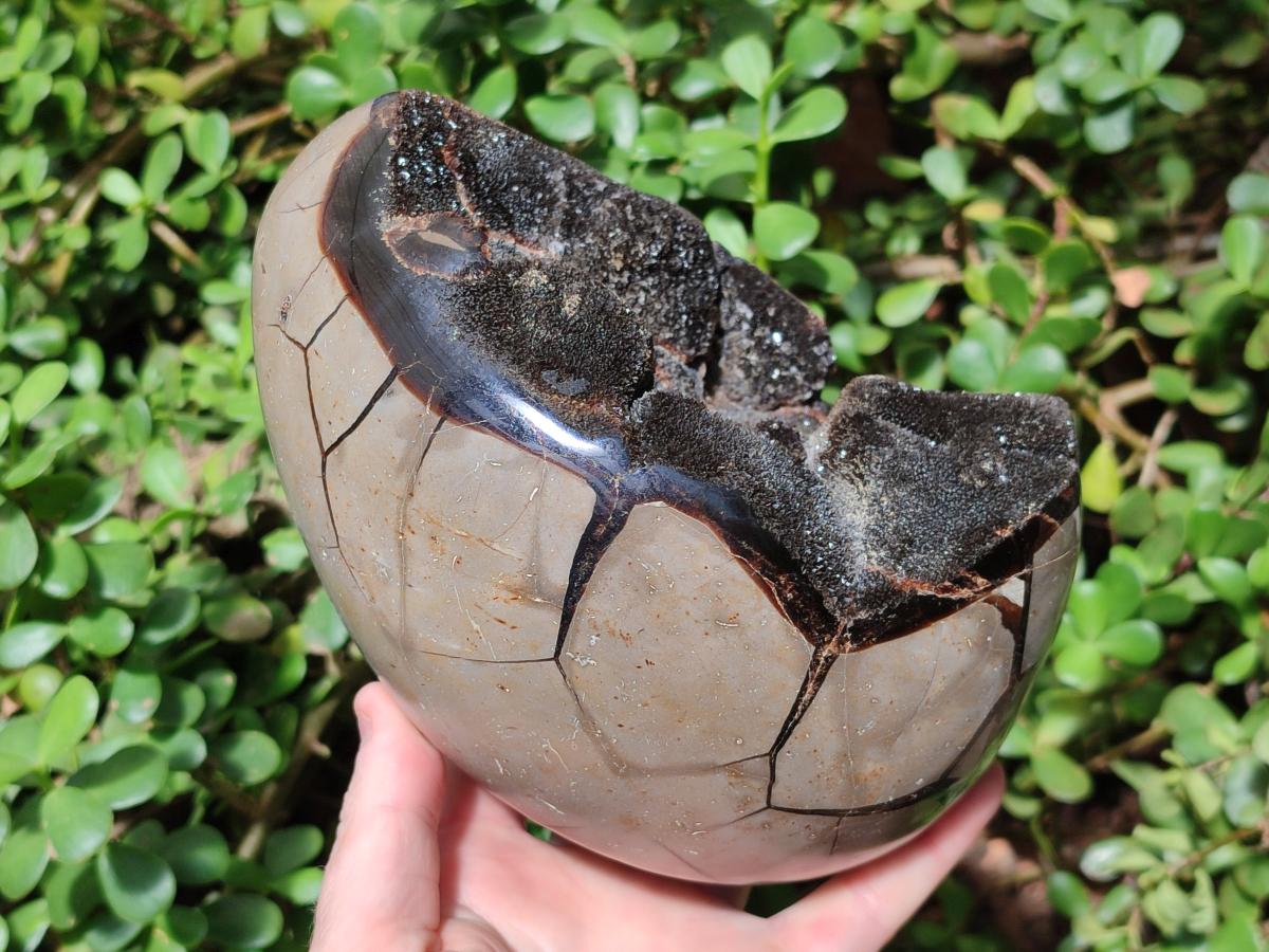 Polished and Natural Large Septerye Sauvage "Dragons Egg" Geode x 1 From Mahajanga, Madagascar - Toprock Gemstones and Minerals 
