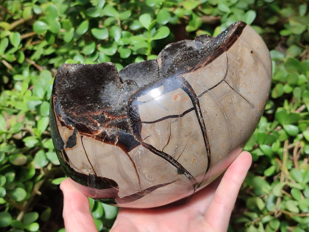 Polished and Natural Large Septerye Sauvage "Dragons Egg" Geode x 1 From Mahajanga, Madagascar - Toprock Gemstones and Minerals 