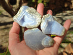Natural Blue Lace Agate Specimens x 12 From Nsanje, Malawi - Toprock Gemstones and Minerals 