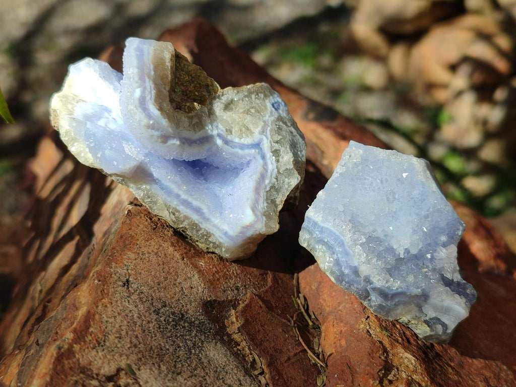Natural Blue Lace Agate Specimens x 12 From Nsanje, Malawi - Toprock Gemstones and Minerals 