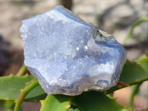 Natural Blue Lace Agate Specimens x 12 From Nsanje, Malawi - Toprock Gemstones and Minerals 