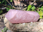 Polished Double Terminated Gemmy Rose Quartz Crystals x 6 From Madagascar - Toprock Gemstones and Minerals 