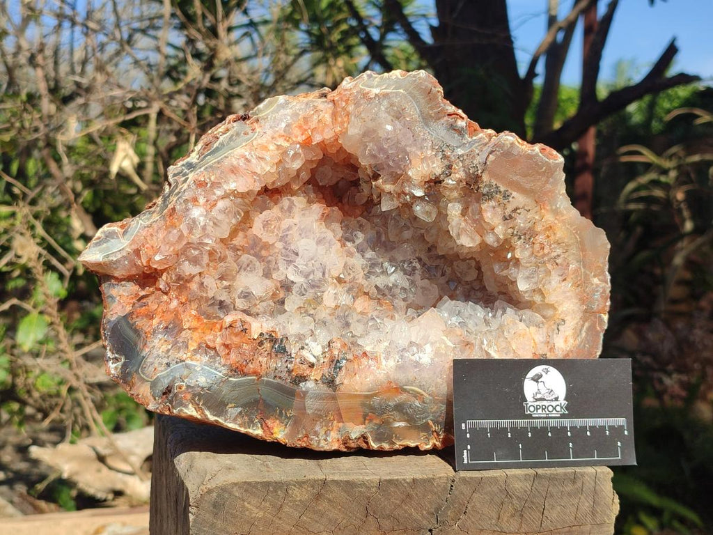 Natural Large Crystalline Agate Geode x 1 From Maintirano, Madagascar - Toprock Gemstones and Minerals 